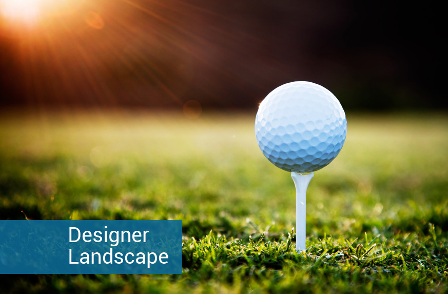 Designer Landscape