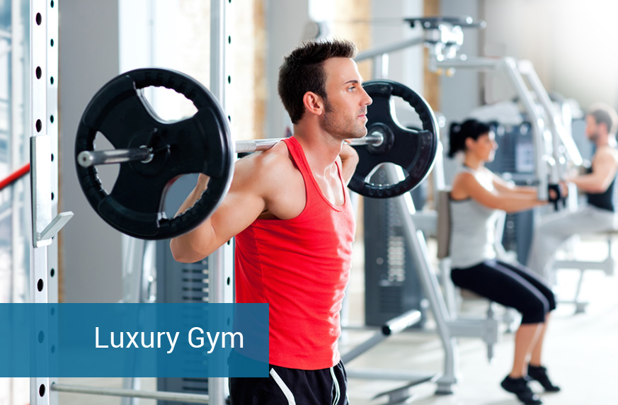 Luxury Gym